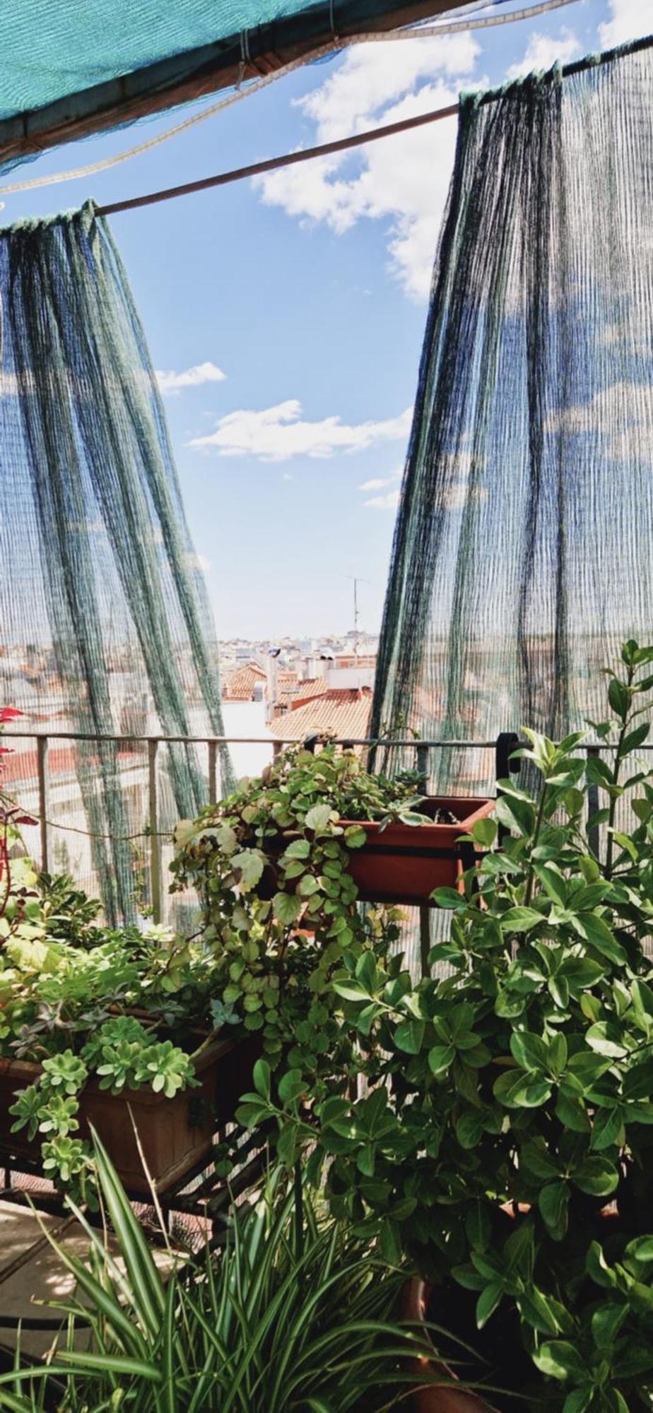Casa De Huespedes Dolce Vita Μαδρίτη Εξωτερικό φωτογραφία